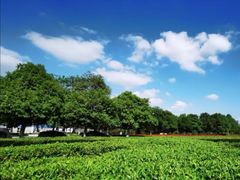 -白塘生态植物园