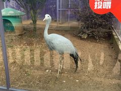 -无锡动物园·太湖欢乐园