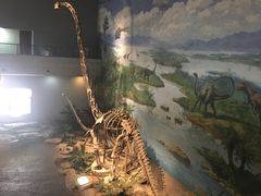 -自贡恐龙博物馆