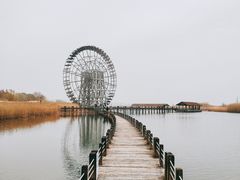 -太湖湖滨国家湿地公园-停车场