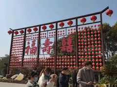 -合肥滨湖国家森林公园