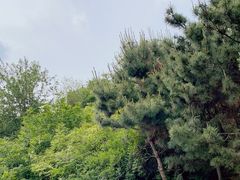 -青岛森林野生动物世界