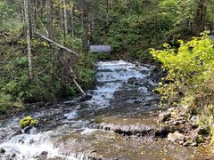 -峡谷浮石林景区