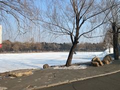 -长春市南湖公园