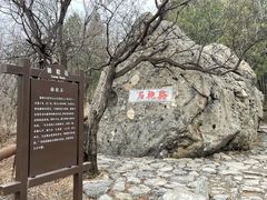 -阳台山自然风景区