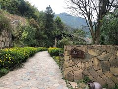 -远山有窑