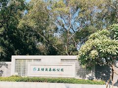 -王借岗森林公园