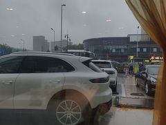 -北京全聚德(方庄店)