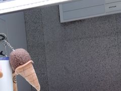 -野人先生现做冰淇淋(北京环宇荟店)