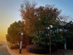 -红豆杉庄会议中心