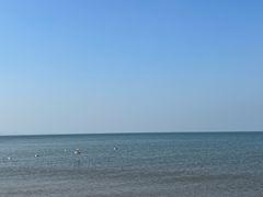 -日照海滨国家森林公园