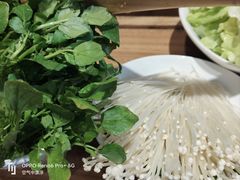 -小牛海记潮汕牛肉店(永定路店)