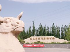 -永定河休闲森林公园