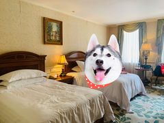 -中旅阿那亚九龙湖·公主酒店