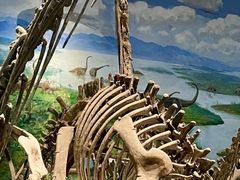 -自贡恐龙博物馆