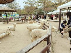 -盈香心动乐园