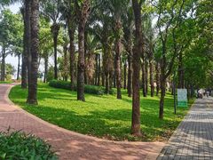 -深圳龙潭公园