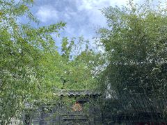 -老张烤羊(王哥庄店)