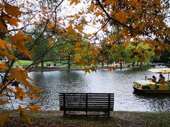 -上海共青森林公园