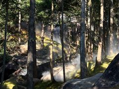 -玉苍山国家森林公园
