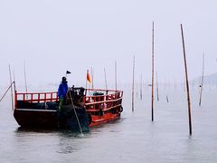 -北岐滩涂