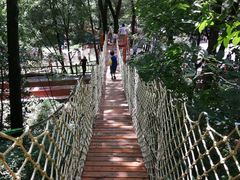 -参仙谷生态旅游度假区