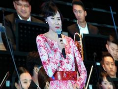 -大雁塔北广场音乐喷泉