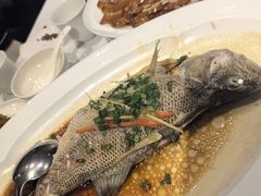 -眉州东坡(华联万柳店)