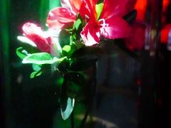 -中国湿地博物馆