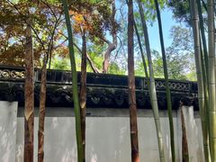 -秋霞圃