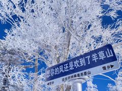 -雪谷