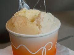 阳山水蜜桃-Dip in Gelato(富民路店)