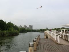 -新江湾城公园