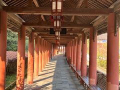-冶父山国家森林公园