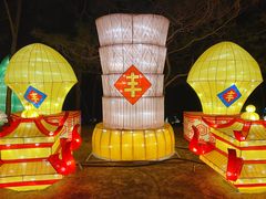 -南宫五洲植物乐园