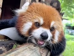 -北京上方山国家森林公园