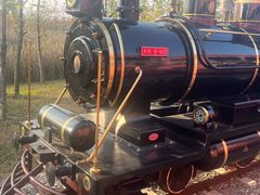 -合肥滨湖国家森林公园