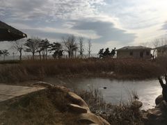 -青岛海泉湾度假区温泉
