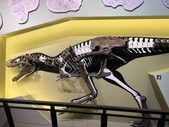 -香港科学馆