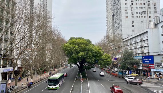 长沙香樟雅郡地址有谁知道?