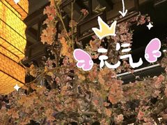 -绿茶餐厅(朝阳大悦城店)