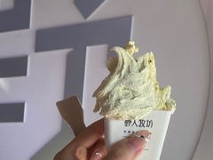 -野人牧坊Gelato(天津南开大悦城店)