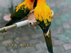 -常州淹城野生动物世界