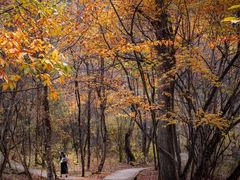 -叠溪松坪沟景区