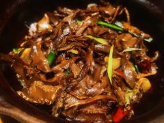 -天辣(金桥啦啦宝都店)