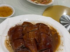-姚林轩