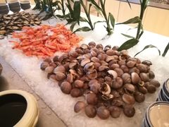 -北京王府井希尔顿酒店·万斯阁西餐厅