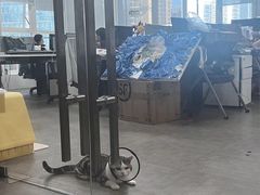 -新东方斯芬克艺术留学作品集培训(重庆校区)
