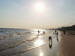 -三亚湾海居铂尔曼度假酒店