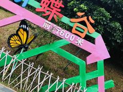 -水濂山乐民游艺园
